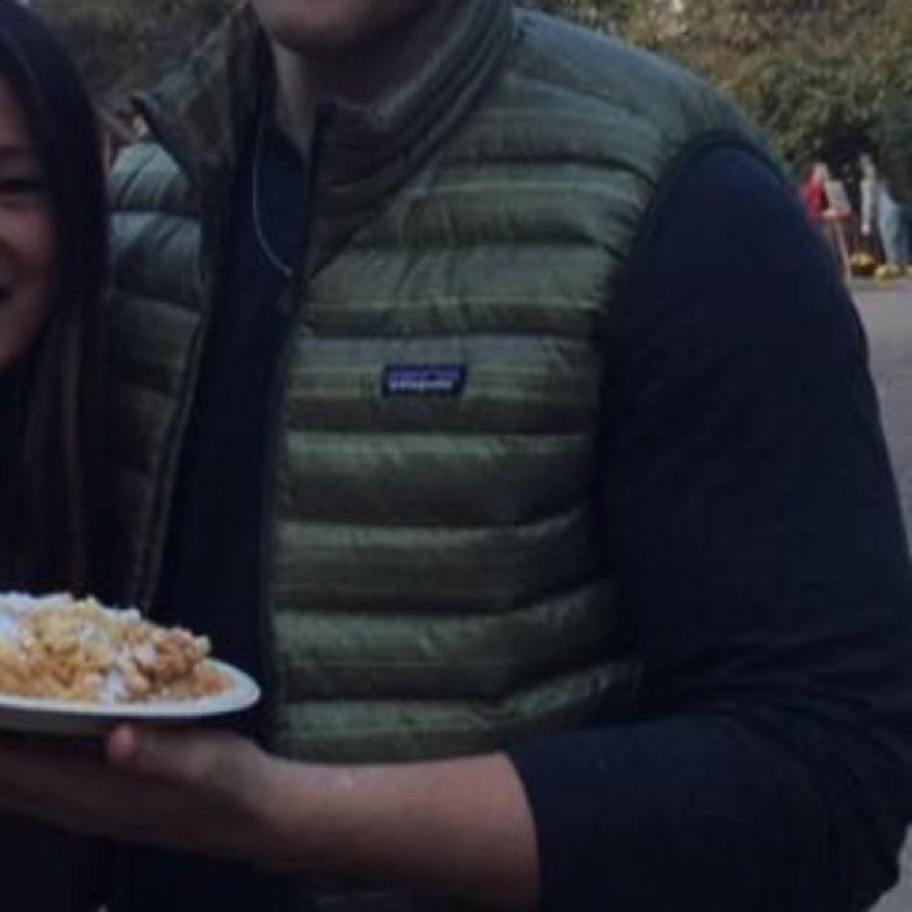 Patagonia puffer vest